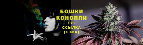 шишки Осташков