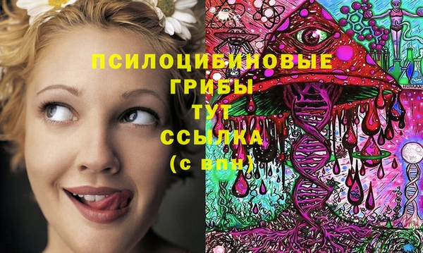 стаф Наволоки