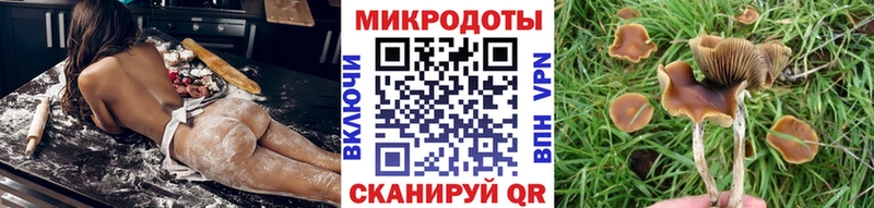 ОМГ ОМГ зеркало где можно купить наркотик Новоалтайск Галлюциногенные грибы мицелий