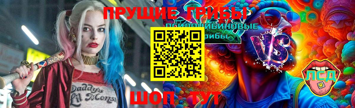 Псилоцибиновые грибы Psilocybe  Вход с VPN  Новоалтайск 